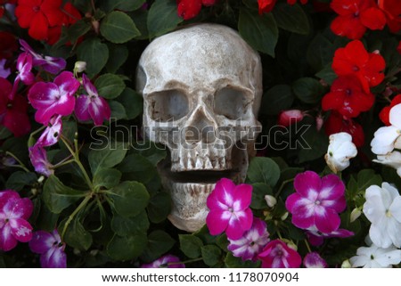 Skull with flowers. Halloween Human Skull in Beautiful Flowers. Spooky Halloween images. Day of the Dead.  Cycle of Life. Flowers of life.
