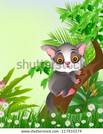 squirrels on tree with tropical forest background