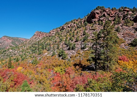 autumn fall colors of the southwest USA
