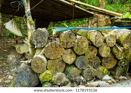 Forest wood Cutted Royalty-Free Stock Photo #1178193136