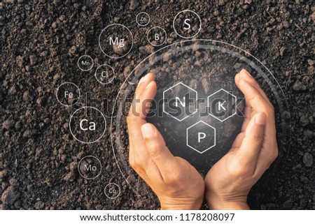 Men's hands are surrounded by rich soil with all the elements needed to grow, while digital icons represent the elements.