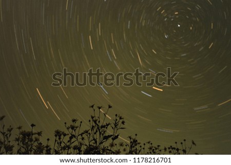night landscape of starry sky