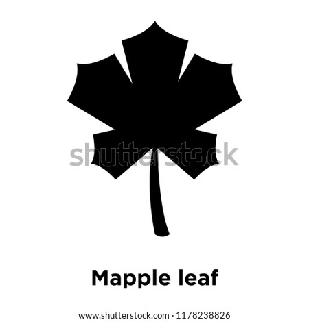 Mapple leaf icon vector isolated on white background, logo concept of Mapple leaf sign on transparent background, filled black symbol