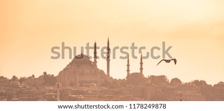 Galata Bridge and Suleymaniye Mosque in the Fatih district at Golden Horn River before sunset, Istanbul, Turkey. Travel concept and Sea front landscape of Istanbul historical part.