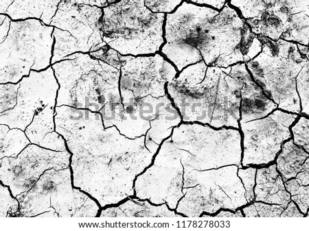 Earth creaked in the absence of rain. Cracks in earth, black and white, texture, background, abstract, space for text Royalty-Free Stock Photo #1178278033