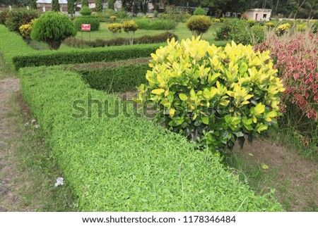 hedge sculpture.Incredible Garden Hedge Ideas.hedge and sculpture in the parkNatural Background image.beauty enhancing tree backgrounds.Awesome and Amazing Pictures.