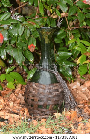 Antique green glass bottle in an autumnal garden