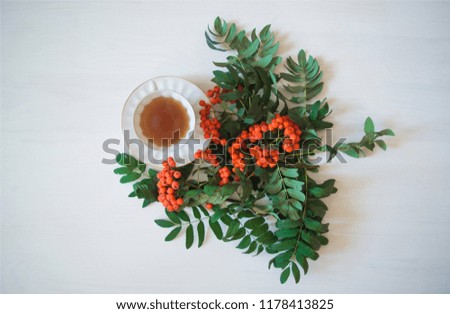 Nice top view of a cup of tea and rowan. Bright and colorful picture with organic and healthy products. Autumn background.