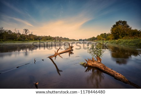 The trunks of fallen trees on the river bank in the autumn morning and the beautiful sky