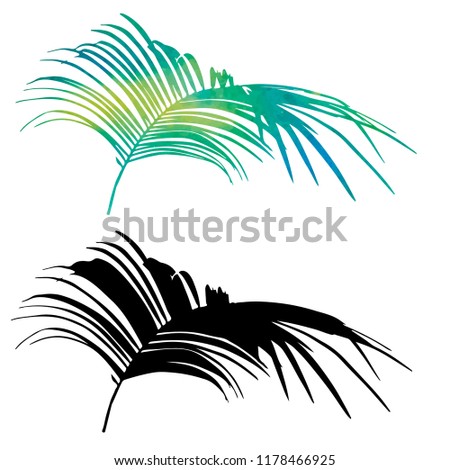 green watercolor silhouette of palm leaf, set, vector