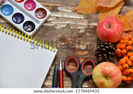 Education concept, school board, paintbrushes, pencils, leaves. paint watercolor multicolored, school time, creativity, inspiration