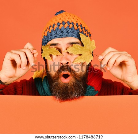 October and November time idea. Autumn and cold weather concept. Man in hat holds green maple tree leaves on orange background, copy space. Hipster with beard and surprised face closes eyes with leaf