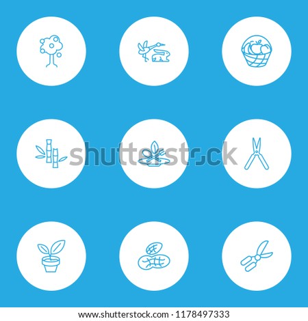World icons line style set with bucket of fruit, pot plant, eco food and other harvest elements. Isolated vector illustration world icons.