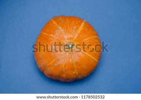 ripe orange pumpkin on a blue background