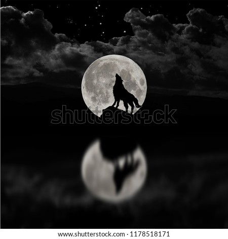moon light wolf screams