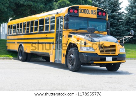 School Bus Road 