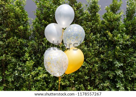 white and yellow balloons with tree background.