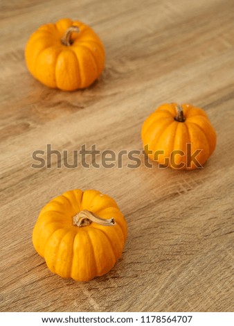 Bright yellow and orange color three ripe pumpkins with stem on light brown wooden table, with free space for design and text
