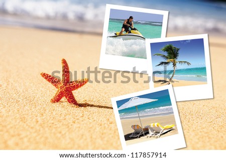 sea, starfish, sea outdoor with hlidays pics