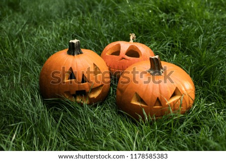 halloween pumpkin on grass. jack-o-lantern decoration
