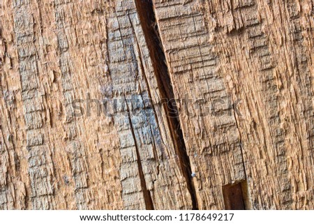 bright wood texture with a nonsmooth surface chips and cracks concept woodwork background for design