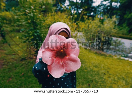 Picture of fresh flower.Nature and theme concept.
