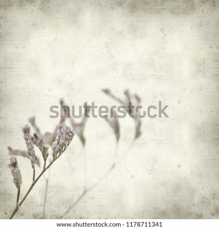 textured old paper background with small pale lilac limonium flowers 