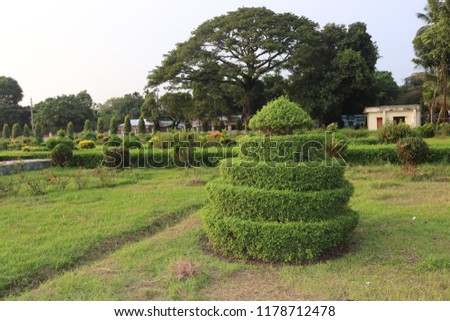 hedge sculpture.Incredible Garden Hedge Ideas.hedge and sculpture in the parkNatural Background image.beauty enhancing tree backgrounds.Awesome and Amazing Pictures.
