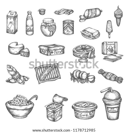 Hand drawn dairy elements milk, cheese, butter and else products vector illustration