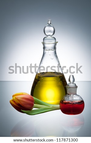 Essential oil and scent in transparent bottles and white flower on gray background with vignetting