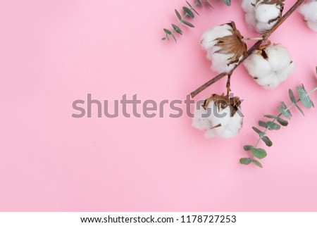 Cotton flowers with eucaliptus