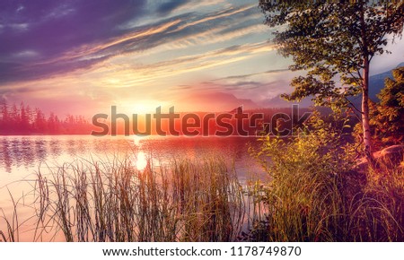 Fantastic views of the Mountain Lake under sunlight. Dramatic and picturesque scene. Colorful Autumn landscape at Sunset . Impressive Nature Scenery. Artistic picture. Wild area. Strbske Pleso. Tatras
