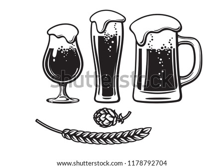 Vintage beer set. Two beer glasses with foam, mug, hop cone, barley, wheat ear. Design elements for brewery, pubs, bars, festivals. Hand drawn vector illustration isolated on white backgraund.