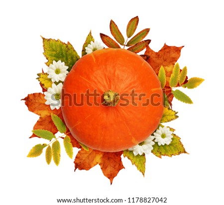 Autumn bouquet with pumpkin, chrysanthemum flowers and dry leaves isolated on white. Top view. Flat lay.