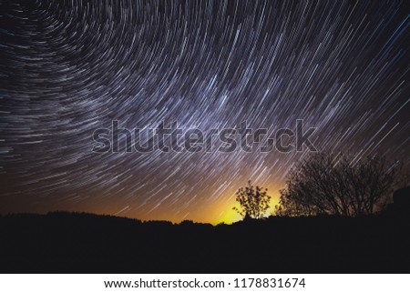 Silhouetted trees under the stars and Earth motion. 