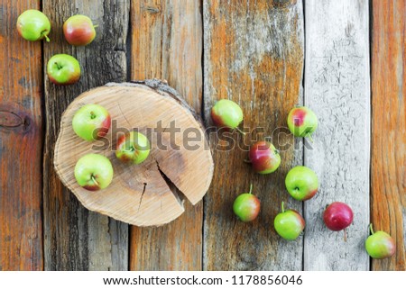 Apple tree stump and apples on vintage rustic wooden background.