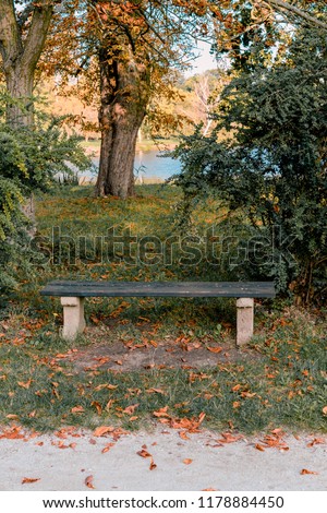 Picture of bench at autumn near of Lednice palace in south moravia.