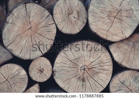 Pile of cut wood