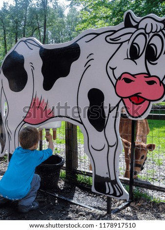 Young boy milking a cow.