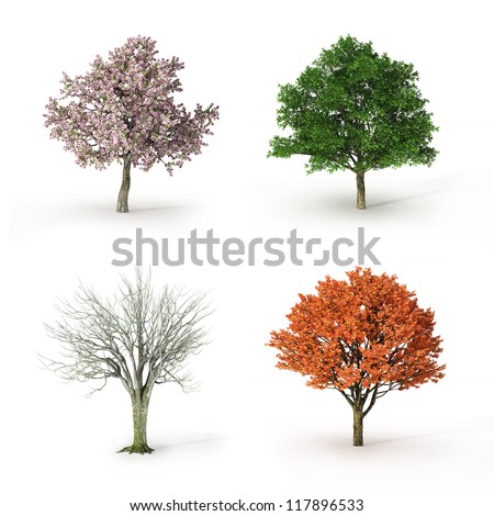 tree at four seasons Royalty-Free Stock Photo #117896533