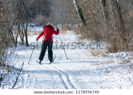 The view from the back of the woman in a red jacket and black pants is skiing. Snowy background with skis between trees and copyspace.