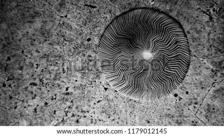 swirl round mushroom 