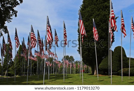 Flags lined up along a road through a cemetery