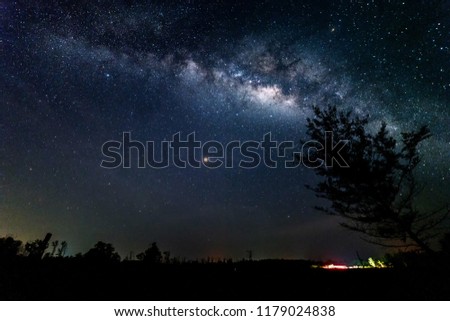 milky way at night

 and some trees