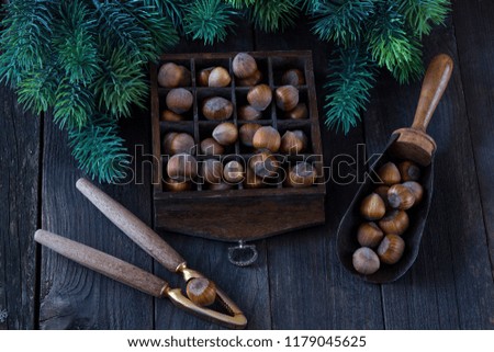 on a dark wooden table a box with hazelnuts, a scoop with nuts and a nut-tree, around a pine branch