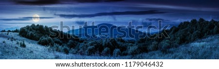 panorama of mountainous countryside. forest on a grassy meadow. high mountain in the distance. wonderful early autumn landscape at night in full moon light