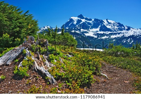 Mount Shuksan from Ptarmigan Ridge, Whatcom County, Washington, U.S. North Cascades National Park