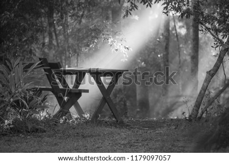 bench in the morning light atPeterson Creek near Yungaburra, Queensland, Australia