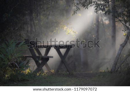bench in the morning light atPeterson Creek near Yungaburra, Queensland, Australia