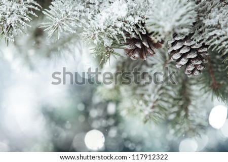 Fir branch on snow Royalty-Free Stock Photo #117912322